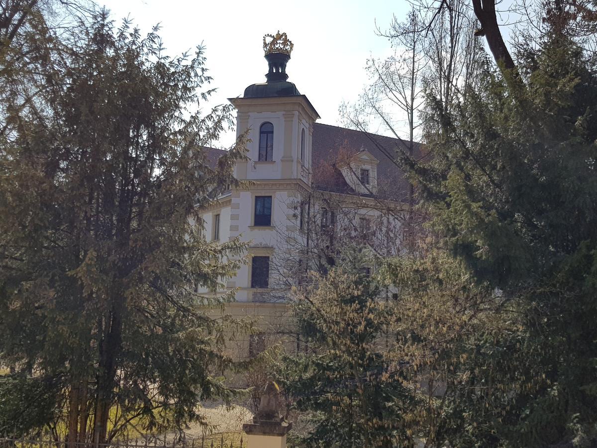 Castle Hotel Ratisbonne Extérieur photo